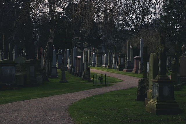 Digital afsked: Fremtidens begravelse og bedemandens nye opgaver